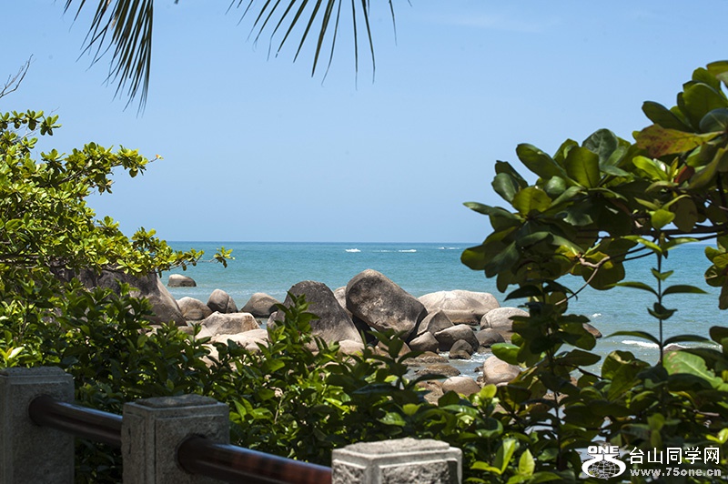 DSC_7707.jpg