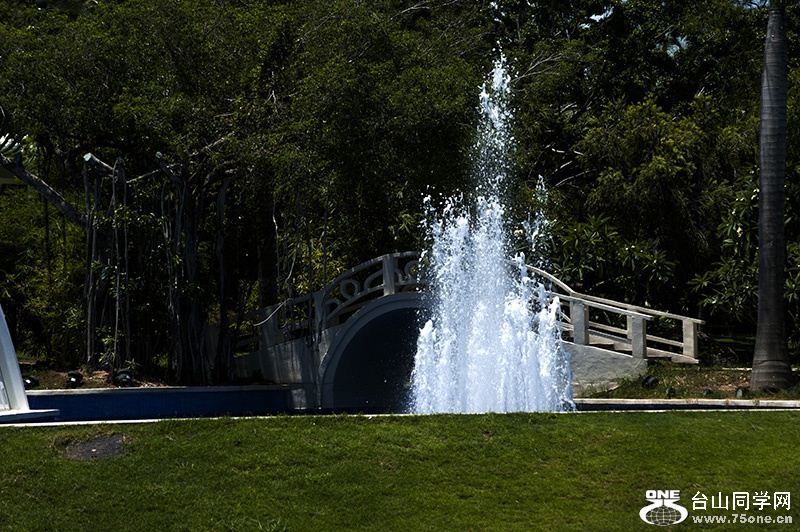 DSC_7764.jpg