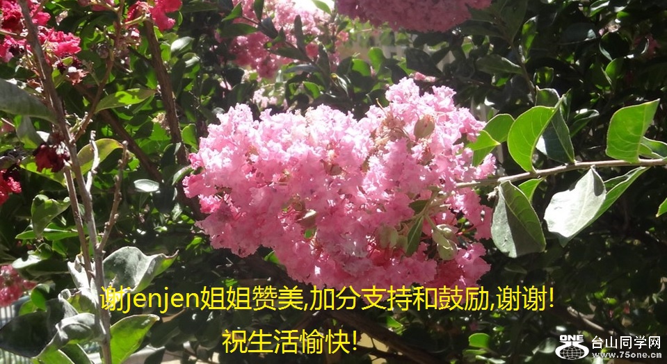 лjenjen,ӷֺ֧͹,лл!ף!.jpg