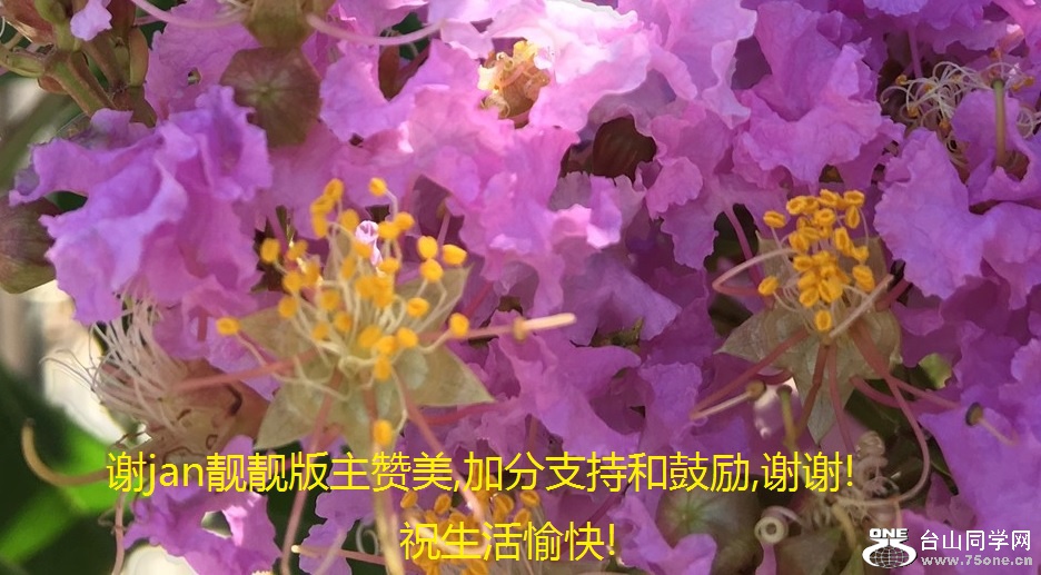 лjan,ӷֺ֧͹,лл!ף!.jpg