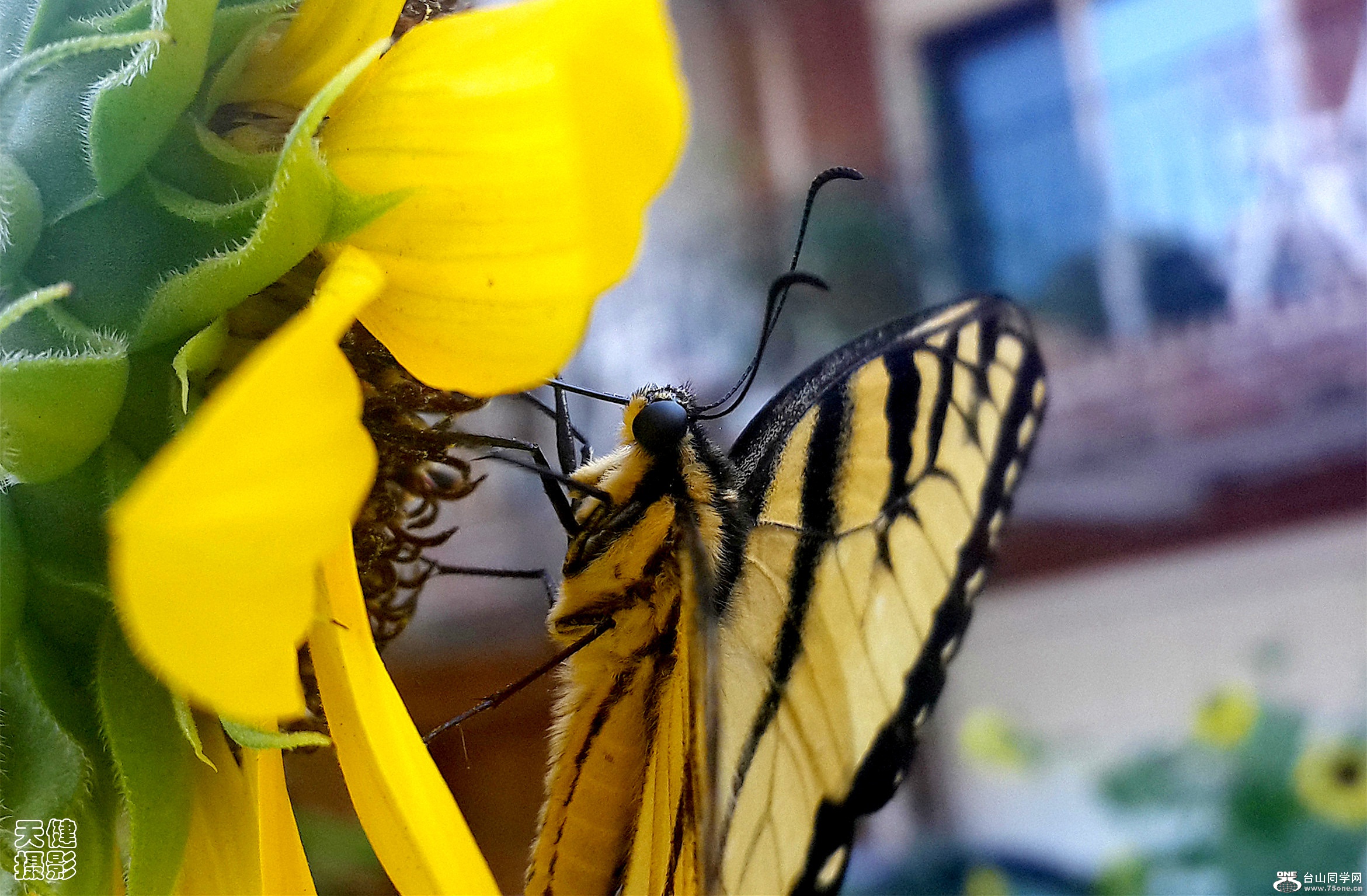 20160804_082037_.jpg