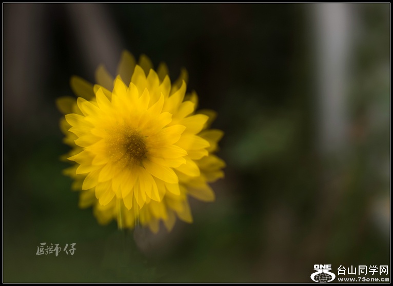 DSC_3365_.jpg