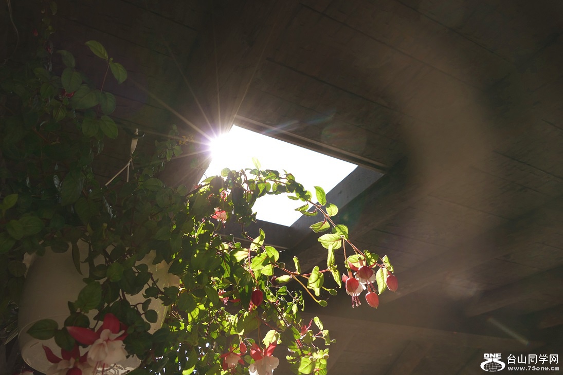 l2880531_conew1.jpg