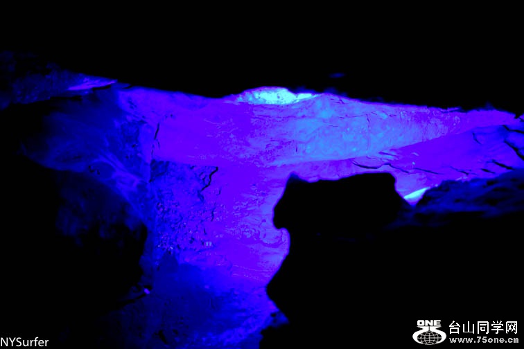 DSC_6762.jpg