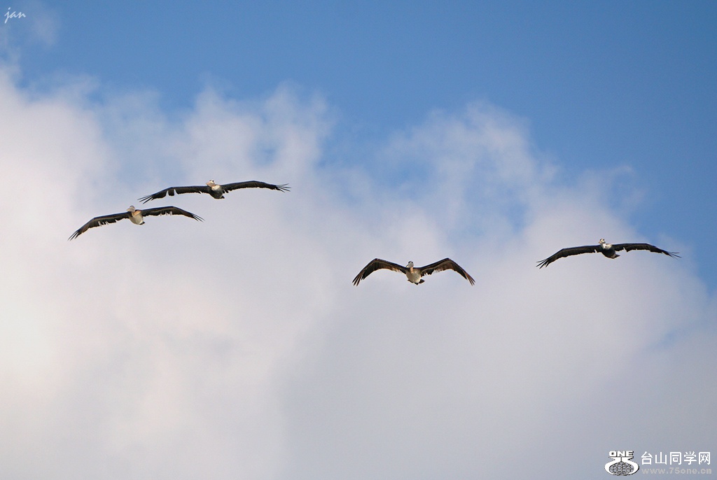 DSC02425_.jpg