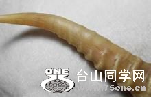 u=1310762630,3719398898&fm=116&gp=0.jpg u=1310762630,3719398898&fm=116&gp=0.jpg