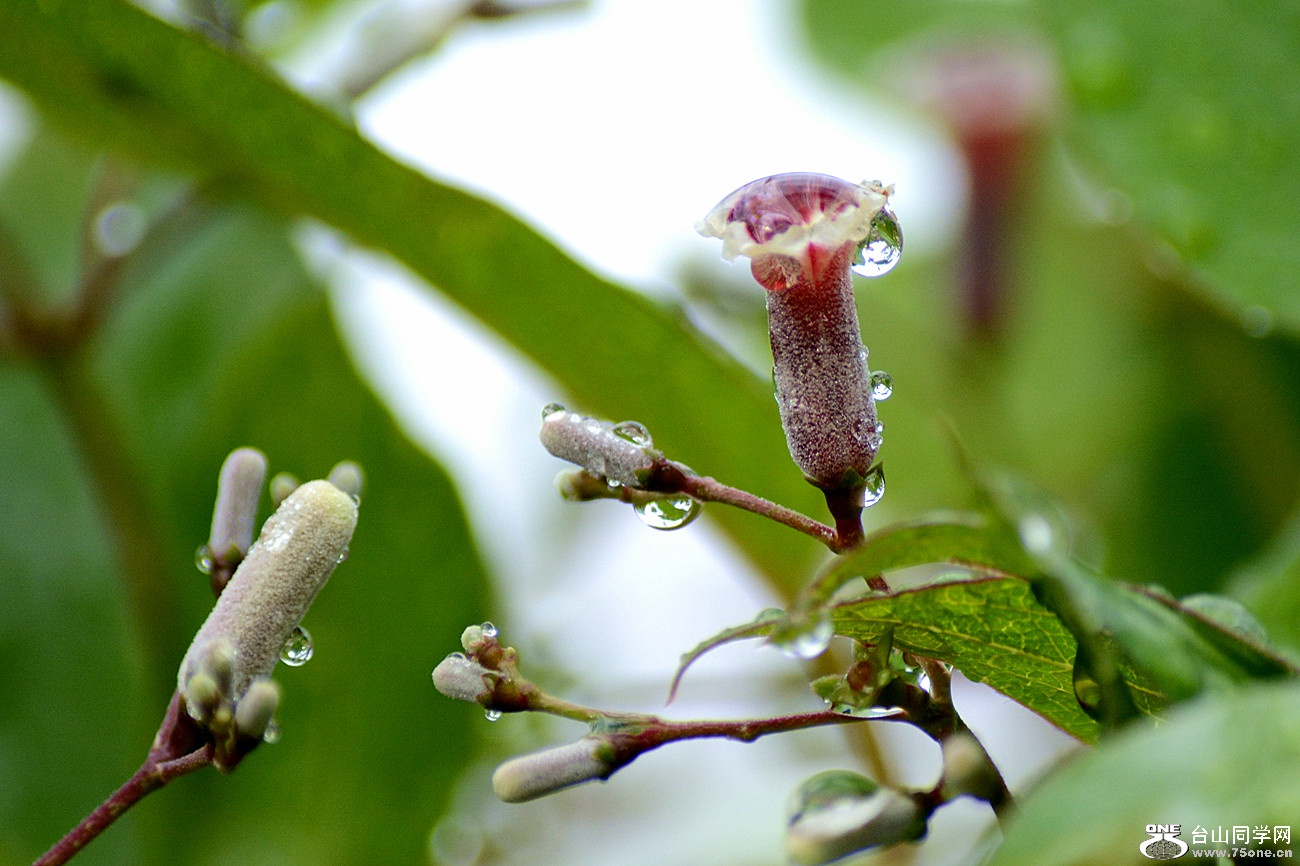 DSC_2669_13.jpg