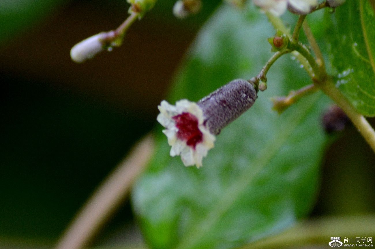 DSC_2827_42.jpg
