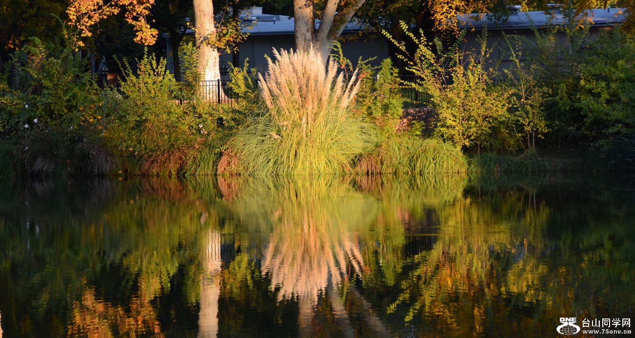 DSC_3430_11.jpg