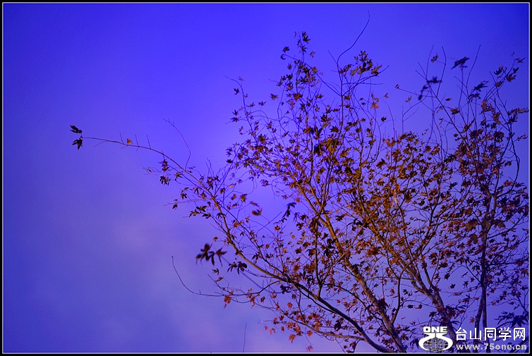 DSC_2078.JPG