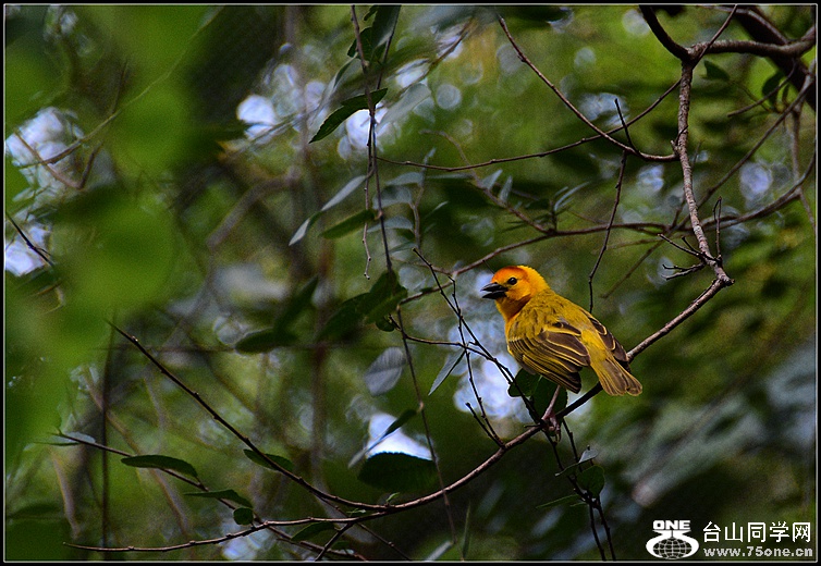 DSC_7846.JPG