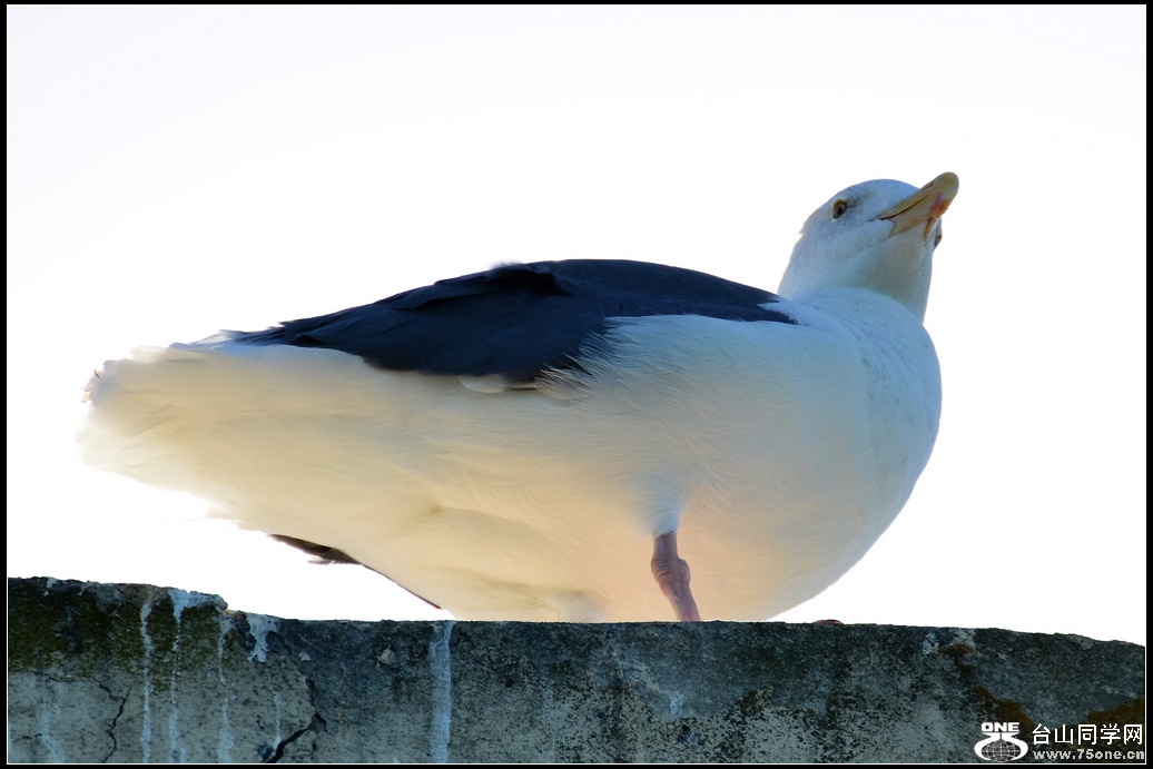 GYL_1237-1.jpg