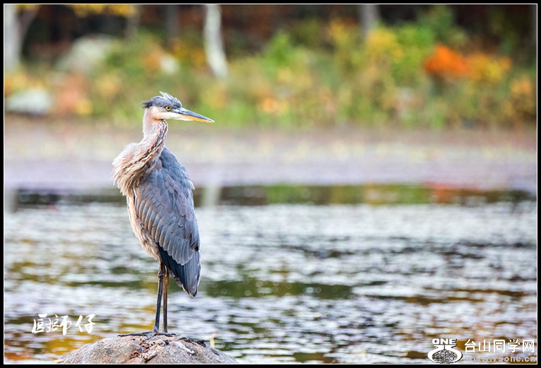 DSC_3755.jpg