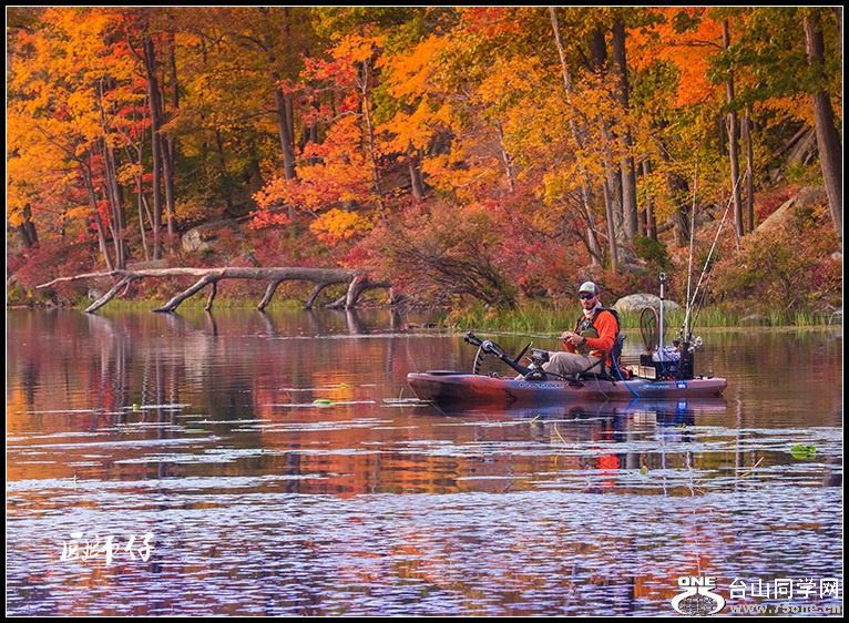 DSC_3677.jpg