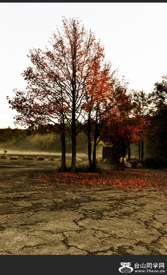 DSC_5912_.jpg