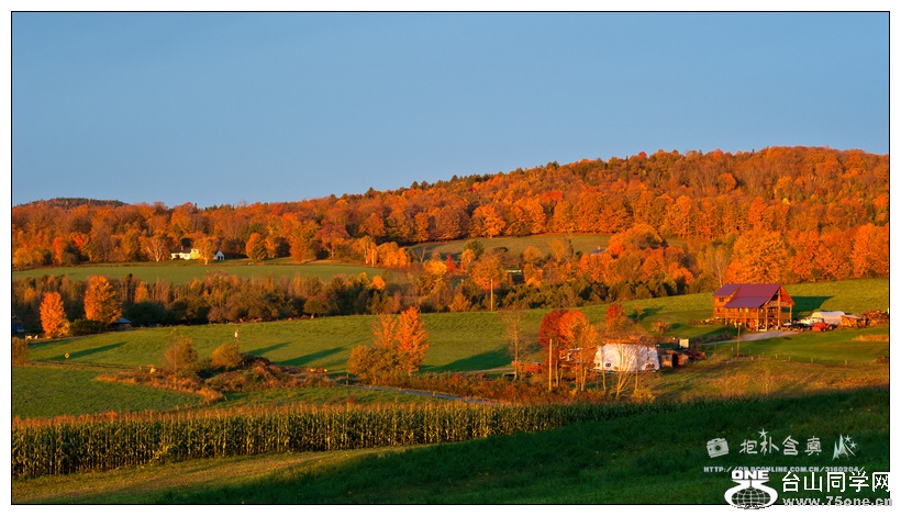 ���� (3).jpg