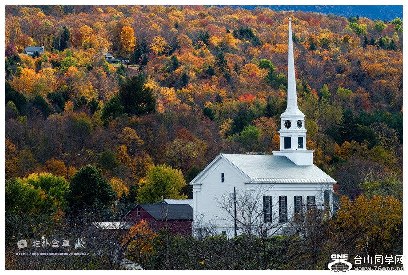 ���� (11).jpg