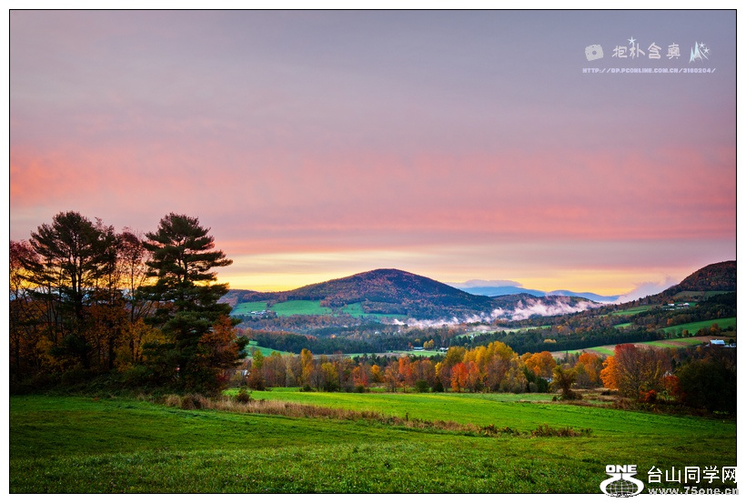 ���� (1).jpg