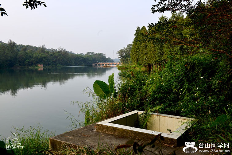 DSC_01419.jpg