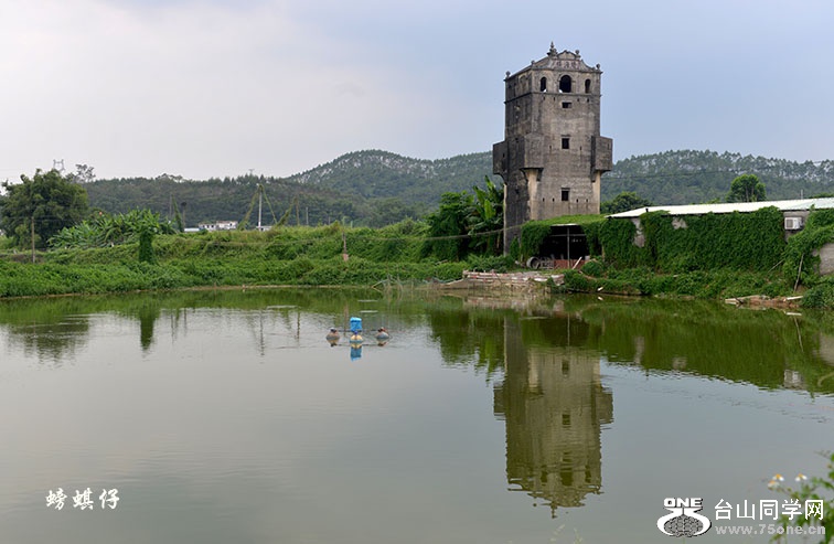 DSC_012658.jpg