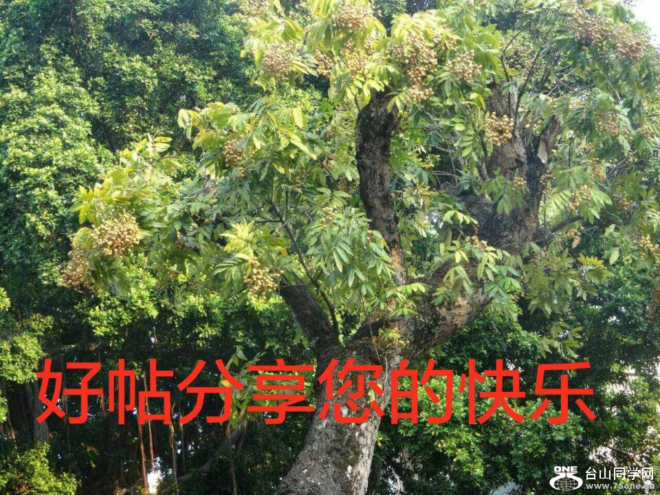 QQͼƬ20161009143642.jpg
