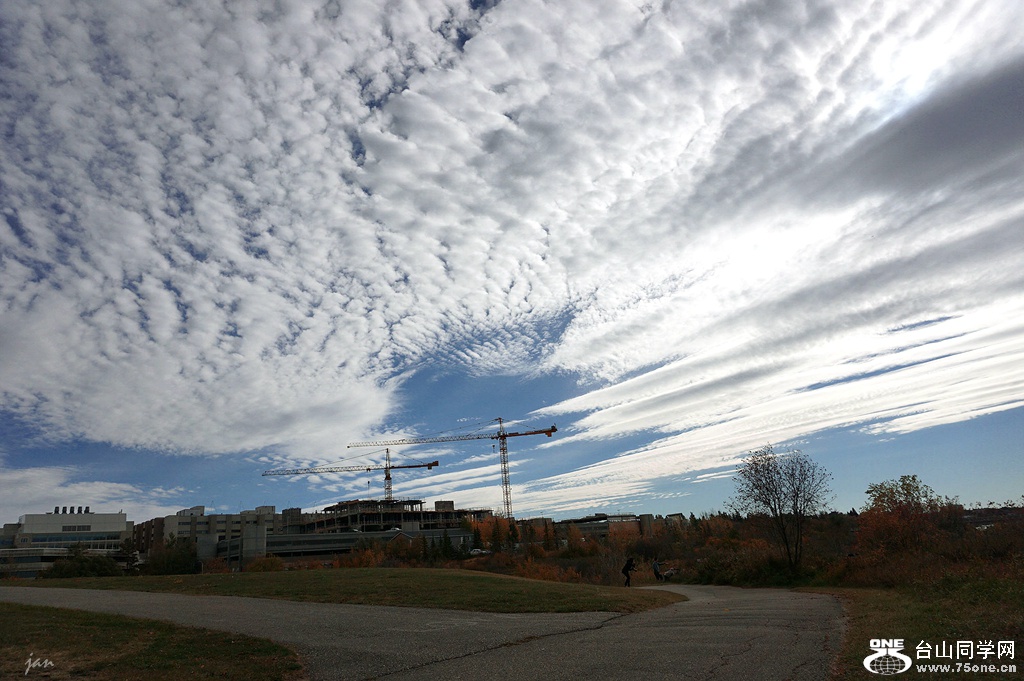 DSC03111-a.jpg