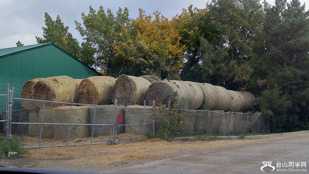 20160917_085616_HDR.jpg