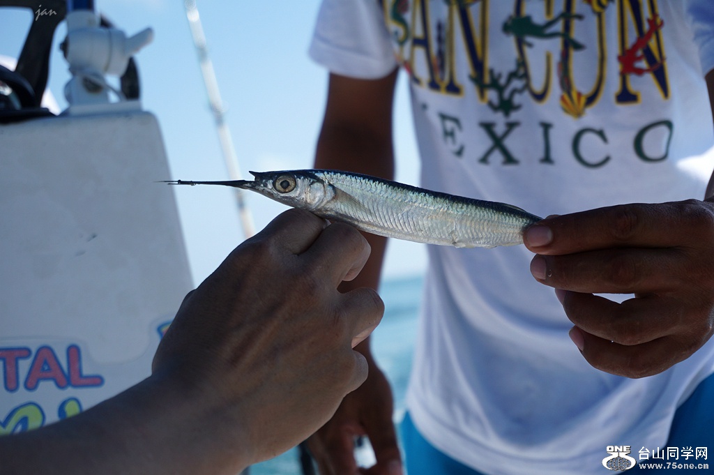 DSC02695_.jpg
