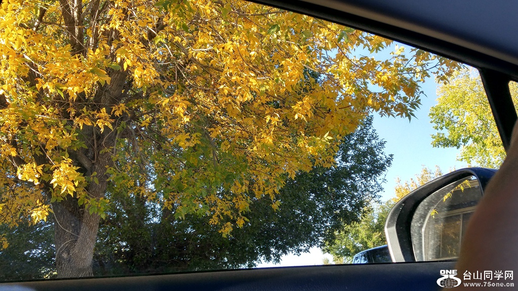 20160913_181003_HDR.jpg