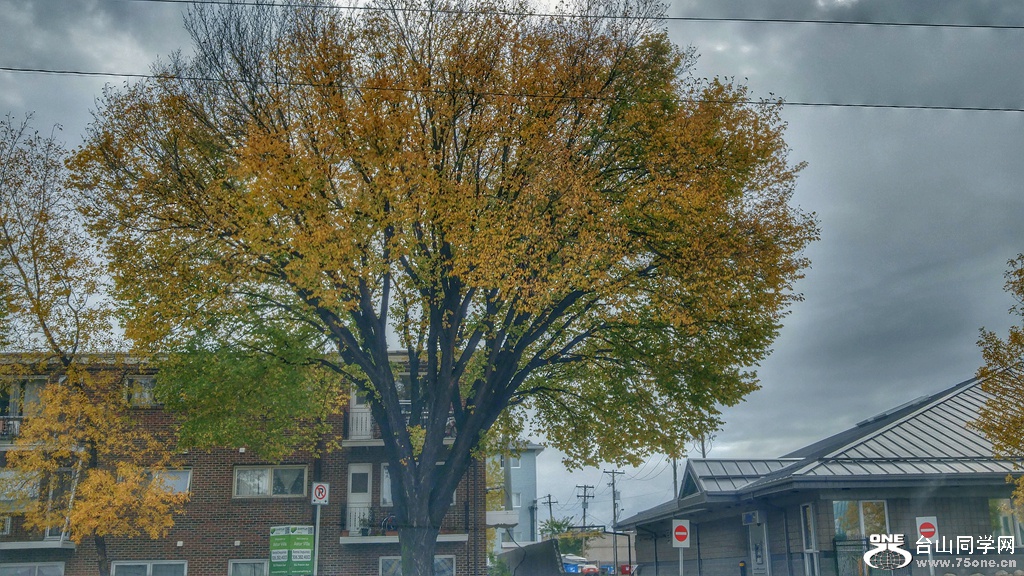 20160924_090914_HDR~3.jpg
