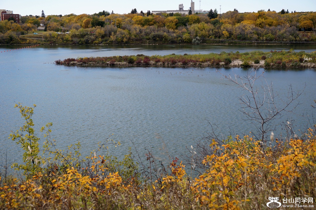 DSC03101.JPG