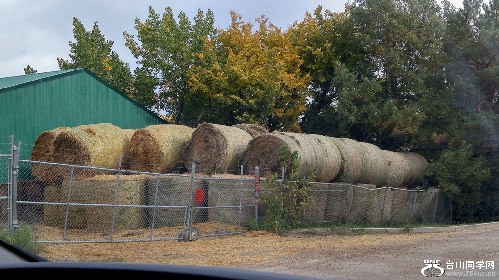 20160917_085628_HDR.jpg