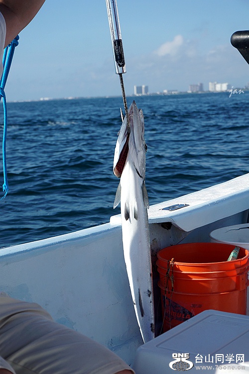DSC02590_.jpg