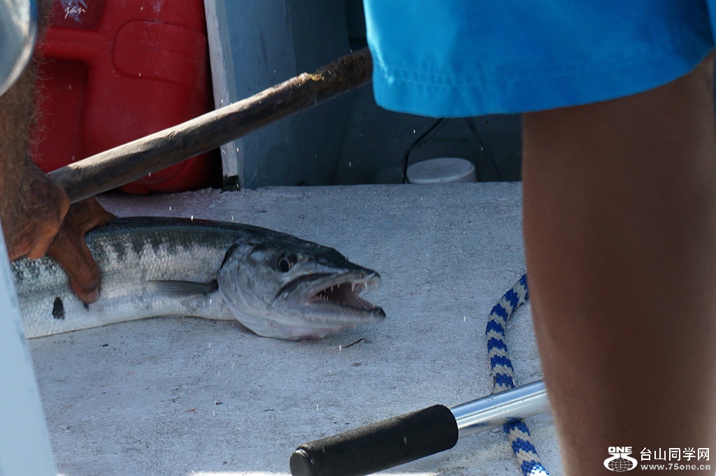 DSC02603_.jpg