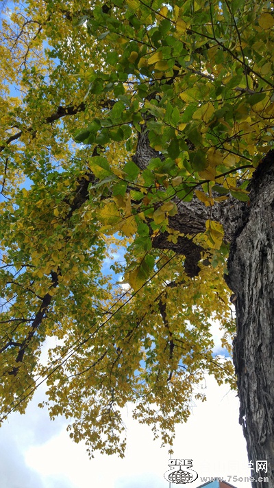 20160918_131550_HDR~2.jpg