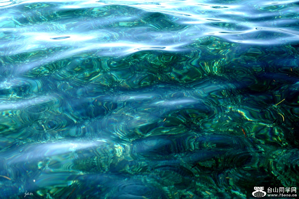 DSC02612_.jpg