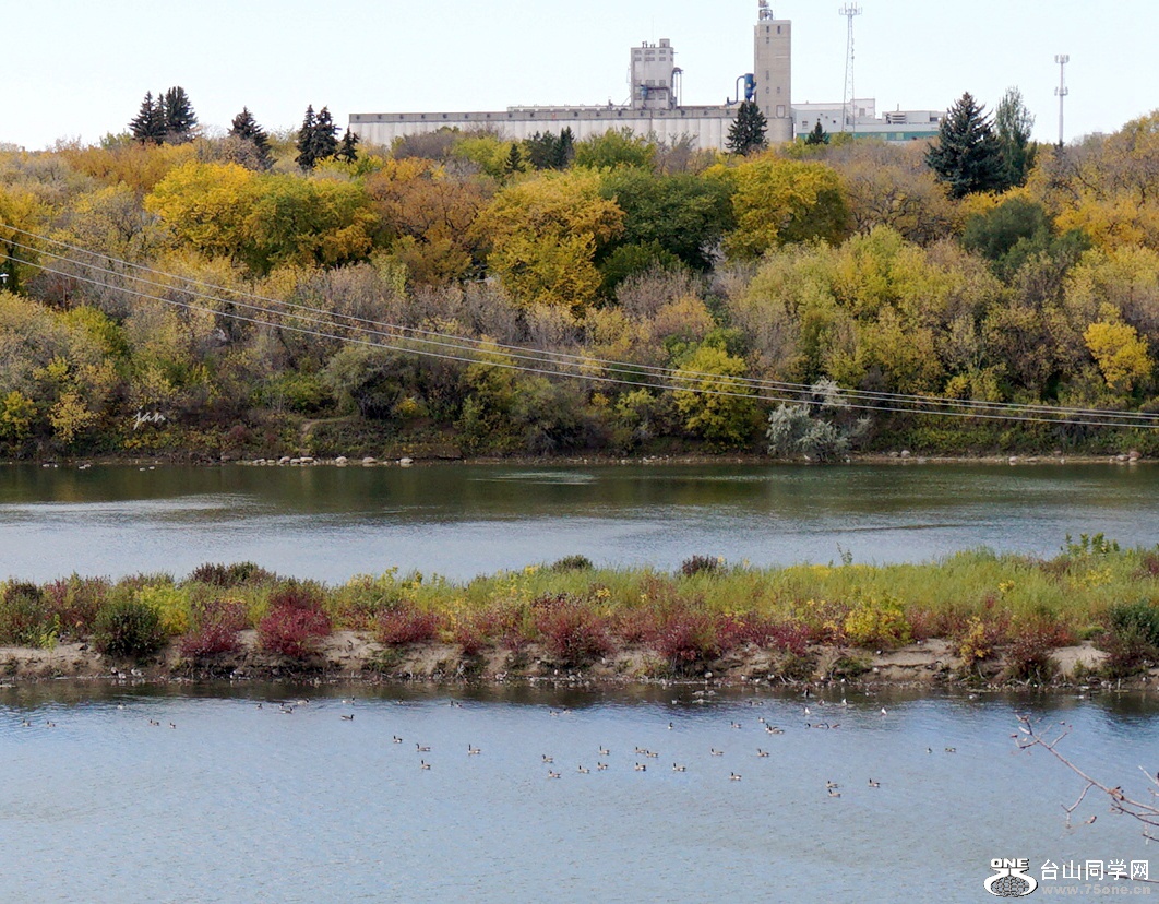 DSC03101_.jpg