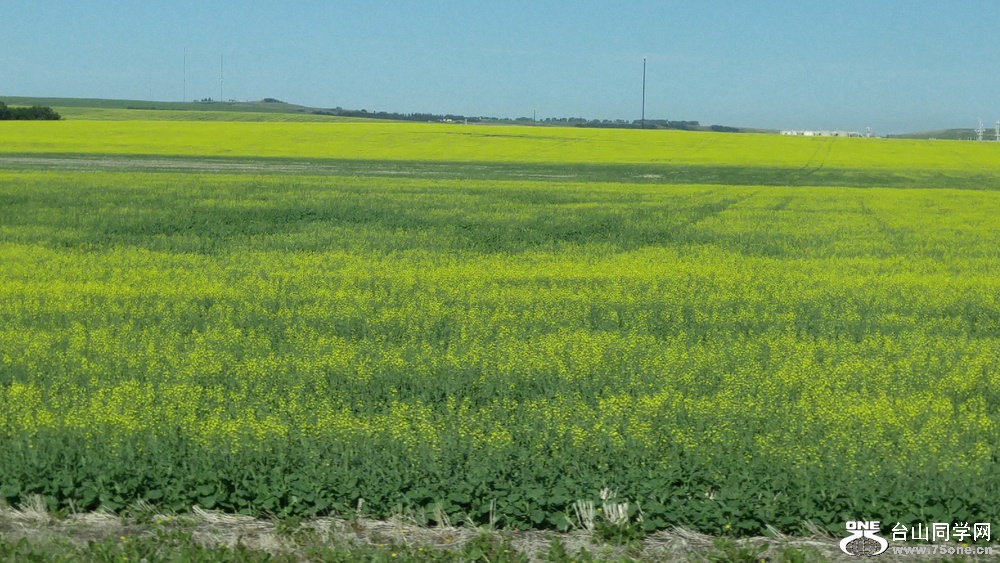 20160701_085957_HDR.jpg