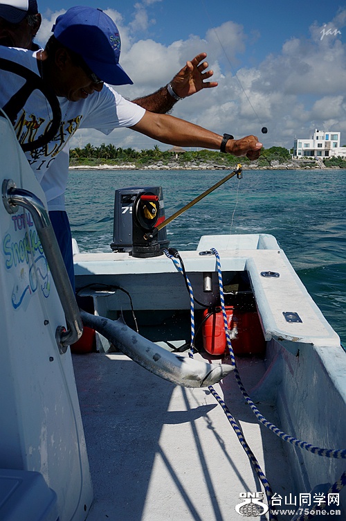 DSC02706.JPG