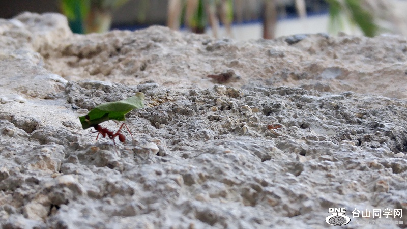 20160828_170257_HDR.jpg