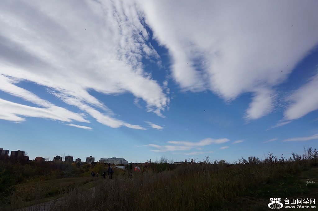 DSC03124.JPG