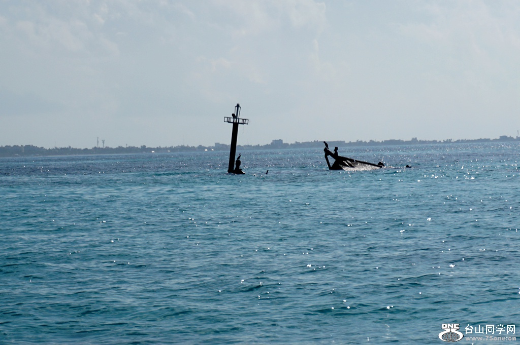 DSC02648.JPG