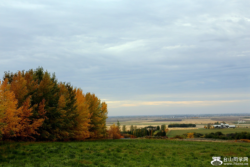 IMG_9677.JPG