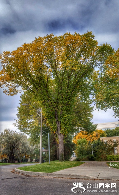 20160917_085414_HDR~2.jpg