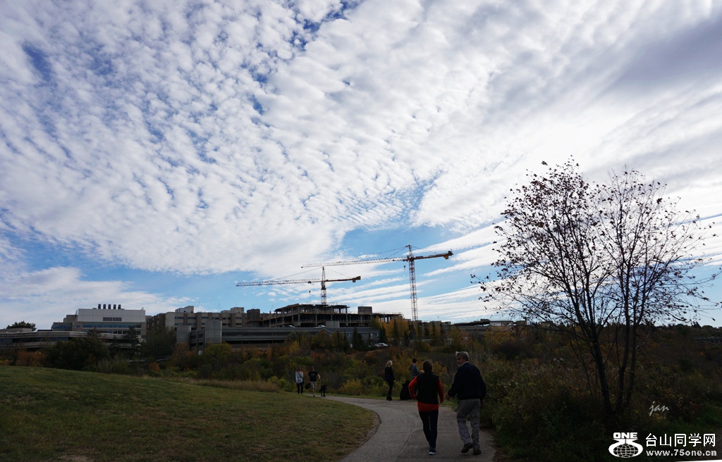DSC03113.JPG