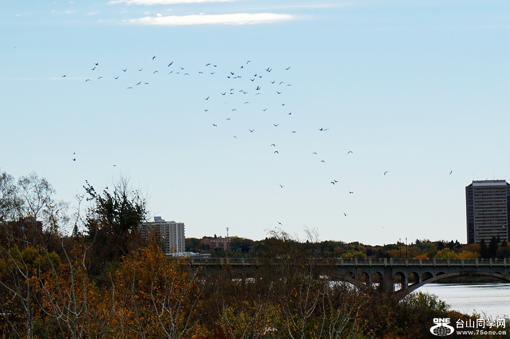 DSC03122.JPG