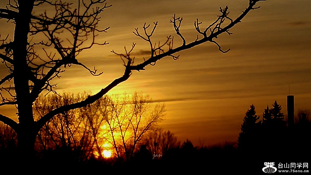 20160427_201317_HDR.jpg