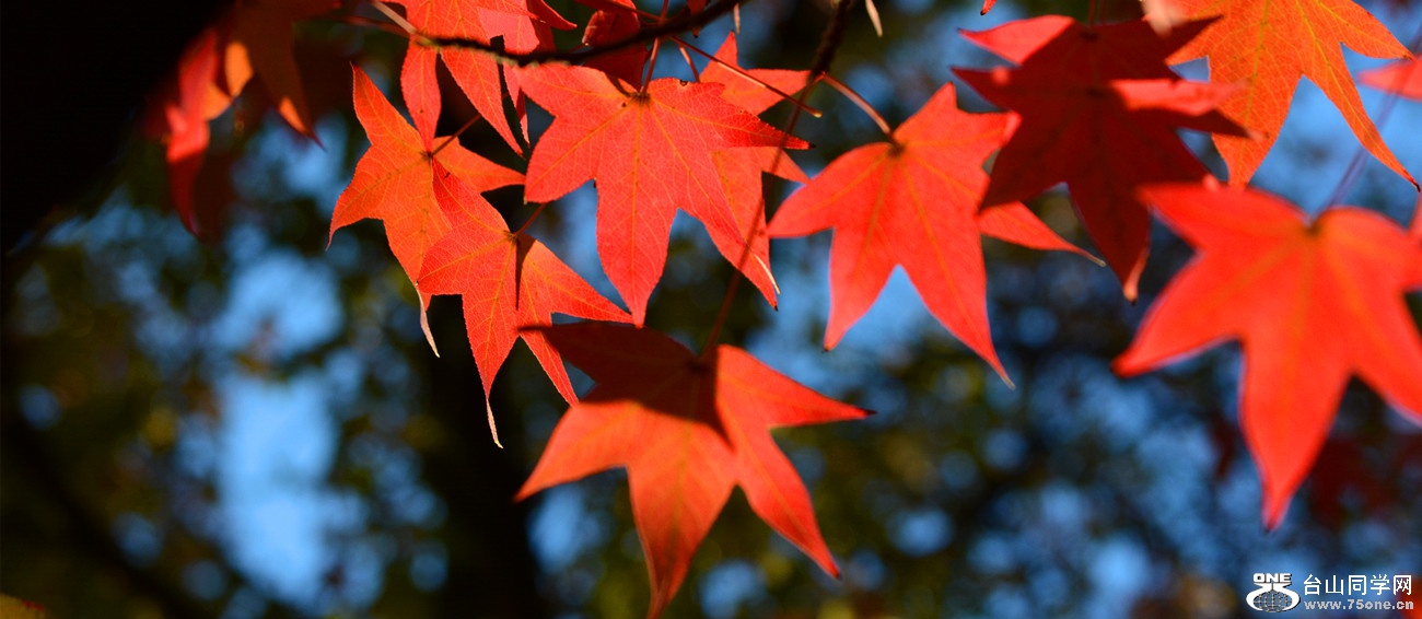 DSC_3355_46.jpg