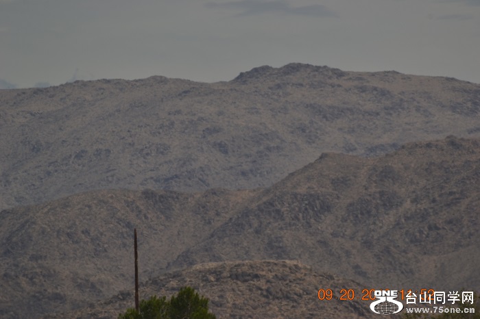 DSC_1299.jpg