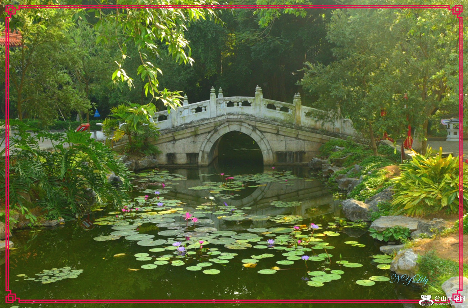 DSC_6055_meitu_8.jpg
